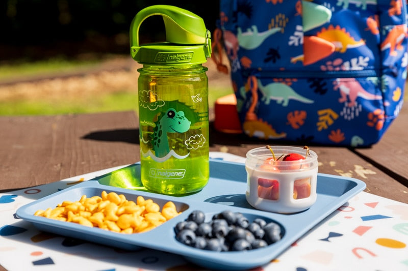 Nalgene product image: 12oz On-The-Fly Kids Lock-Top Bottle with Graphics N2 — 12oz On-The-Fly Kids Lock-Top Bottle with Graphics